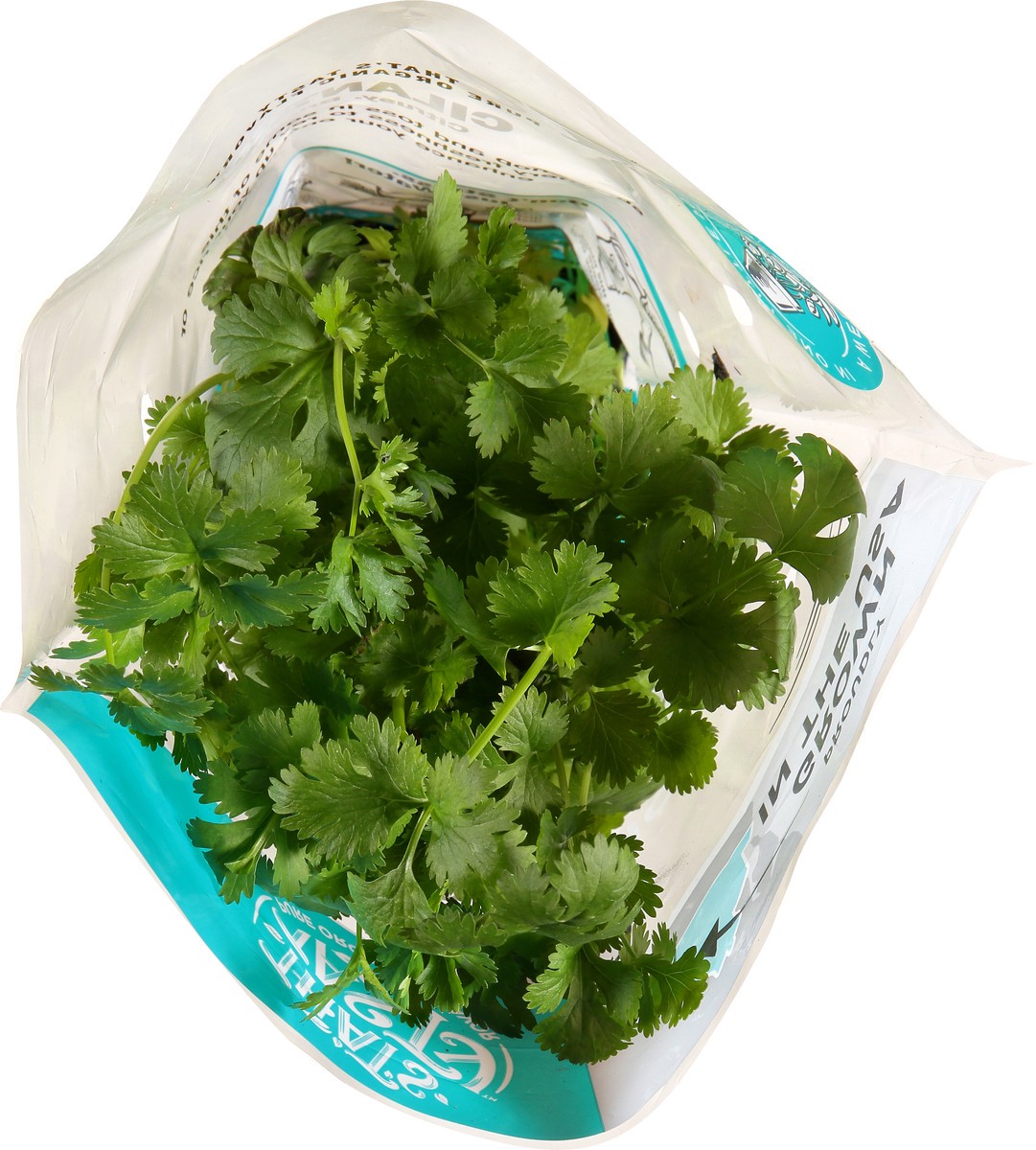 slide 2 of 11, That's Tasty Living Organic Cilantro, 1 ct