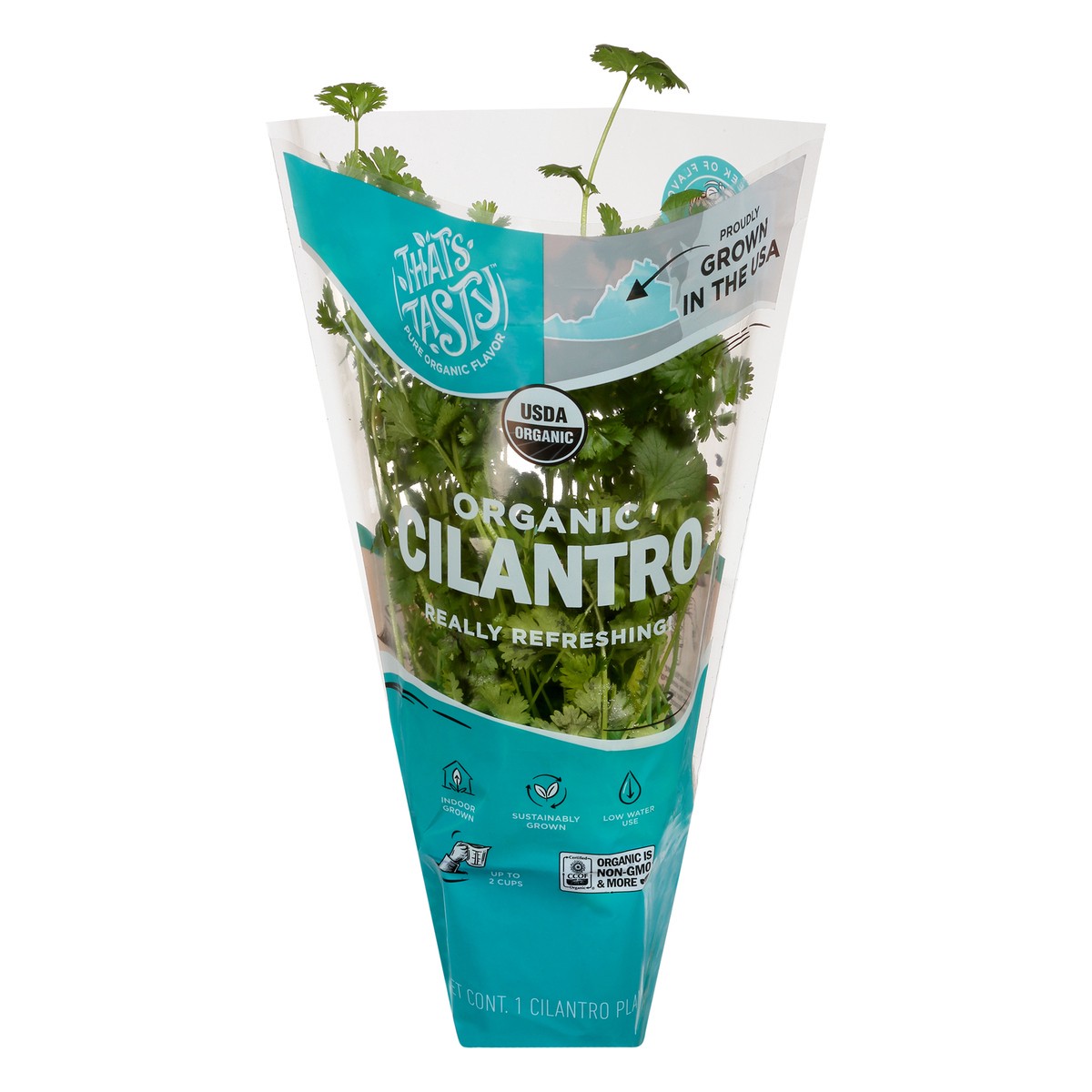 slide 1 of 11, That's Tasty Living Organic Cilantro, 1 ct