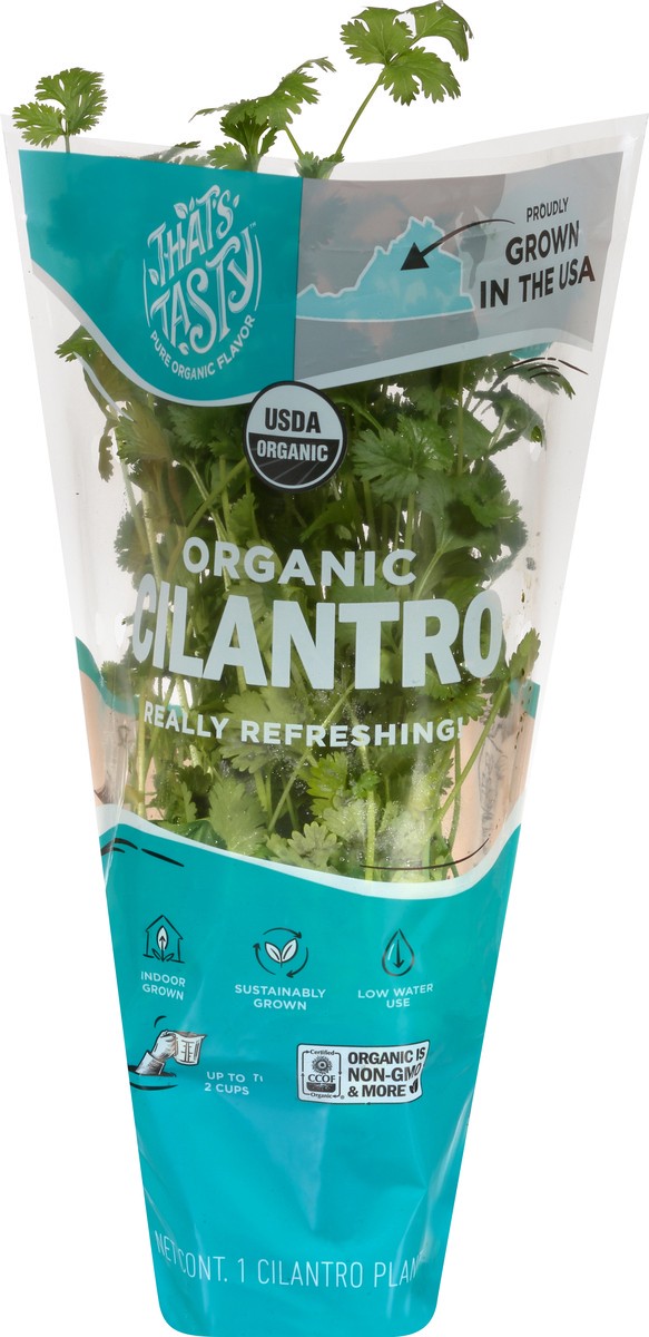 slide 4 of 11, That's Tasty Living Organic Cilantro, 1 ct