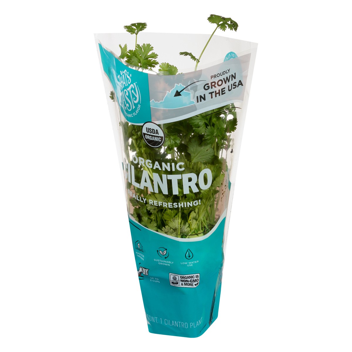 slide 6 of 11, That's Tasty Living Organic Cilantro, 1 ct