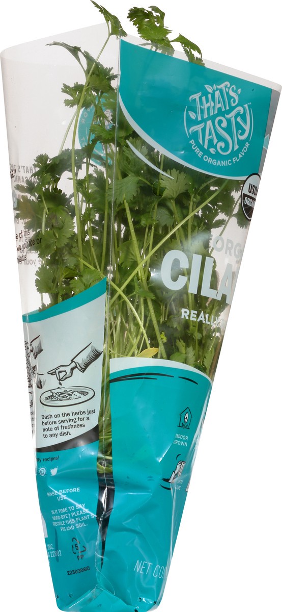 slide 8 of 11, That's Tasty Living Organic Cilantro, 1 ct