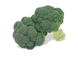 Org Broccoli
