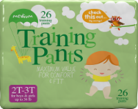 slide 1 of 1, Check This Out Size 2T-3T Training Pants, 26 ct