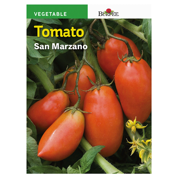 slide 1 of 1, Burpee Italian Tomato San Marzano Seeds, 1 ct