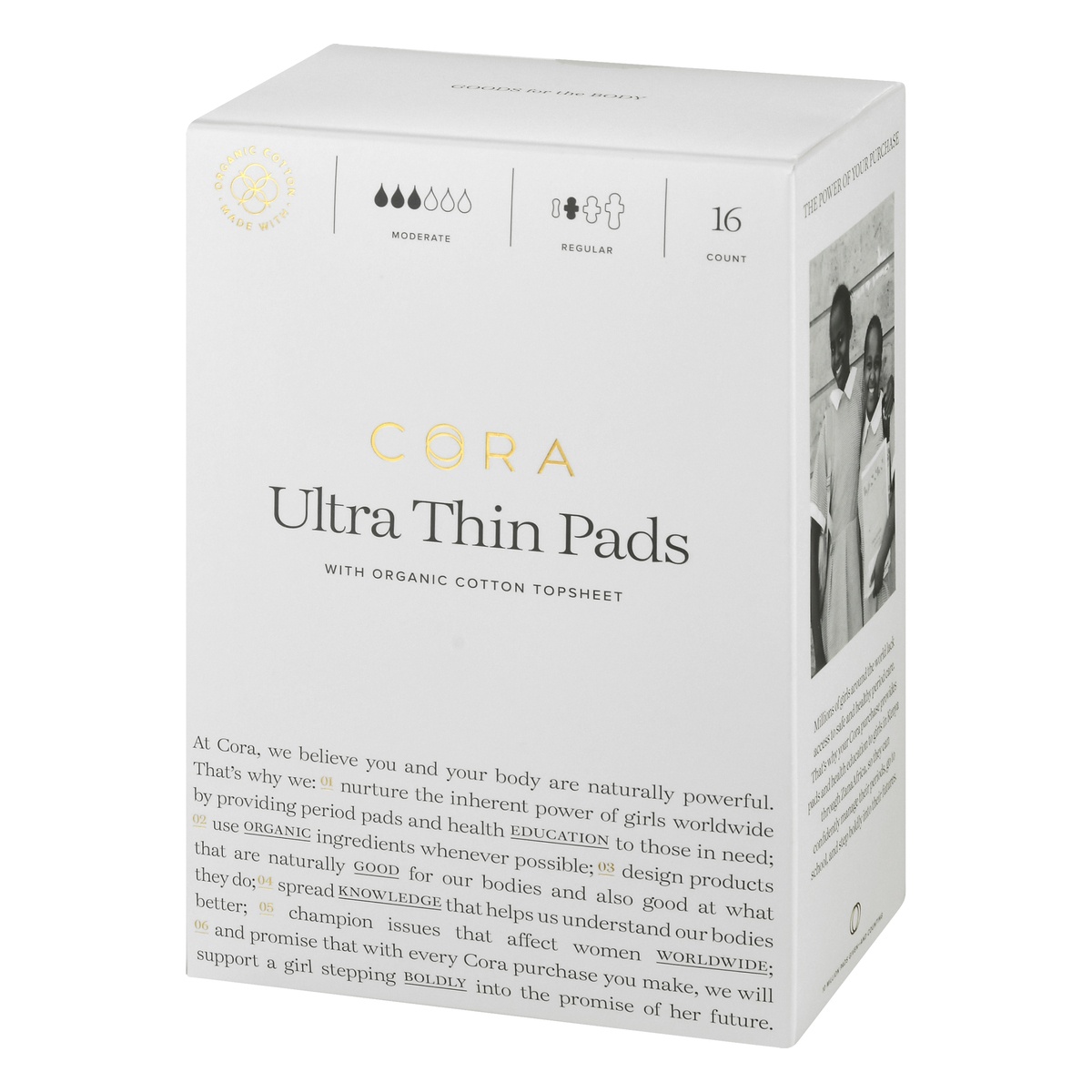 Cora Organic Cotton Regular Ultra Thin Pads 16 ct Shipt