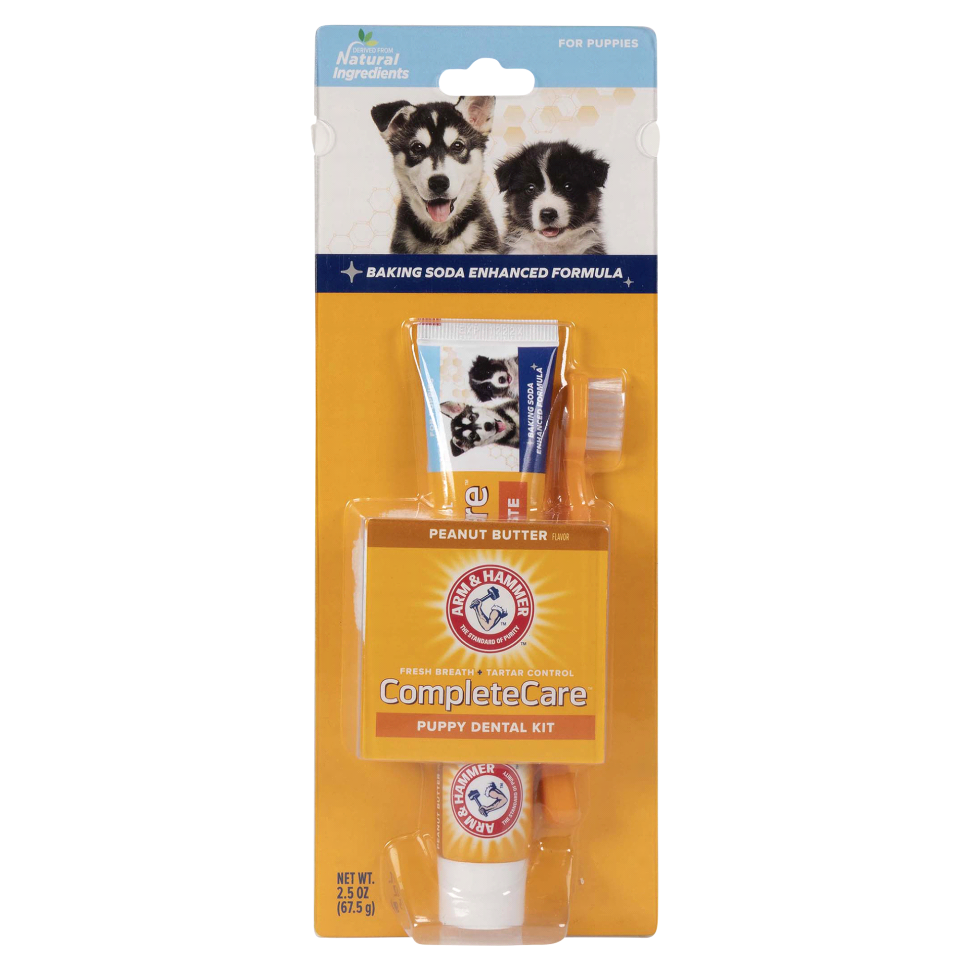 slide 1 of 1, ARM & HAMMER Complete Care Puppy Dental Kit with Peanut Butter flavored toothpaste, small tooth brush and microfiber brush, 1 ct