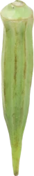 Chinese Okra