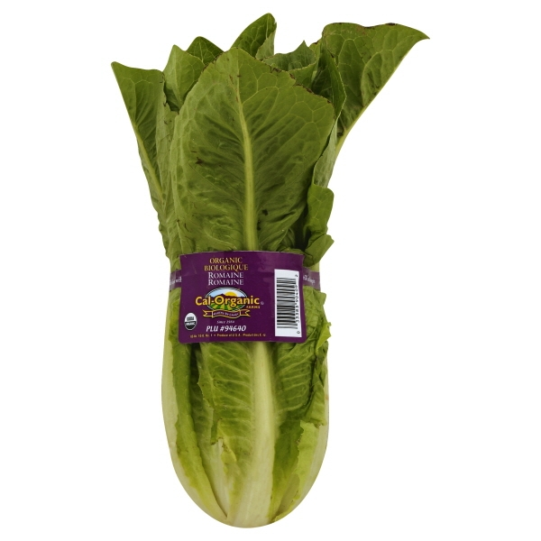 slide 1 of 1, Lunds & Byerlys Organic Green Romaine Lettuce, 1 ct