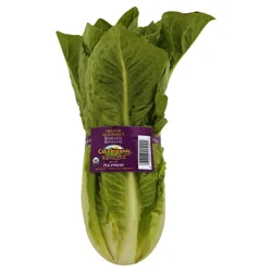 Lunds & Byerlys Organic Green Romaine Lettuce