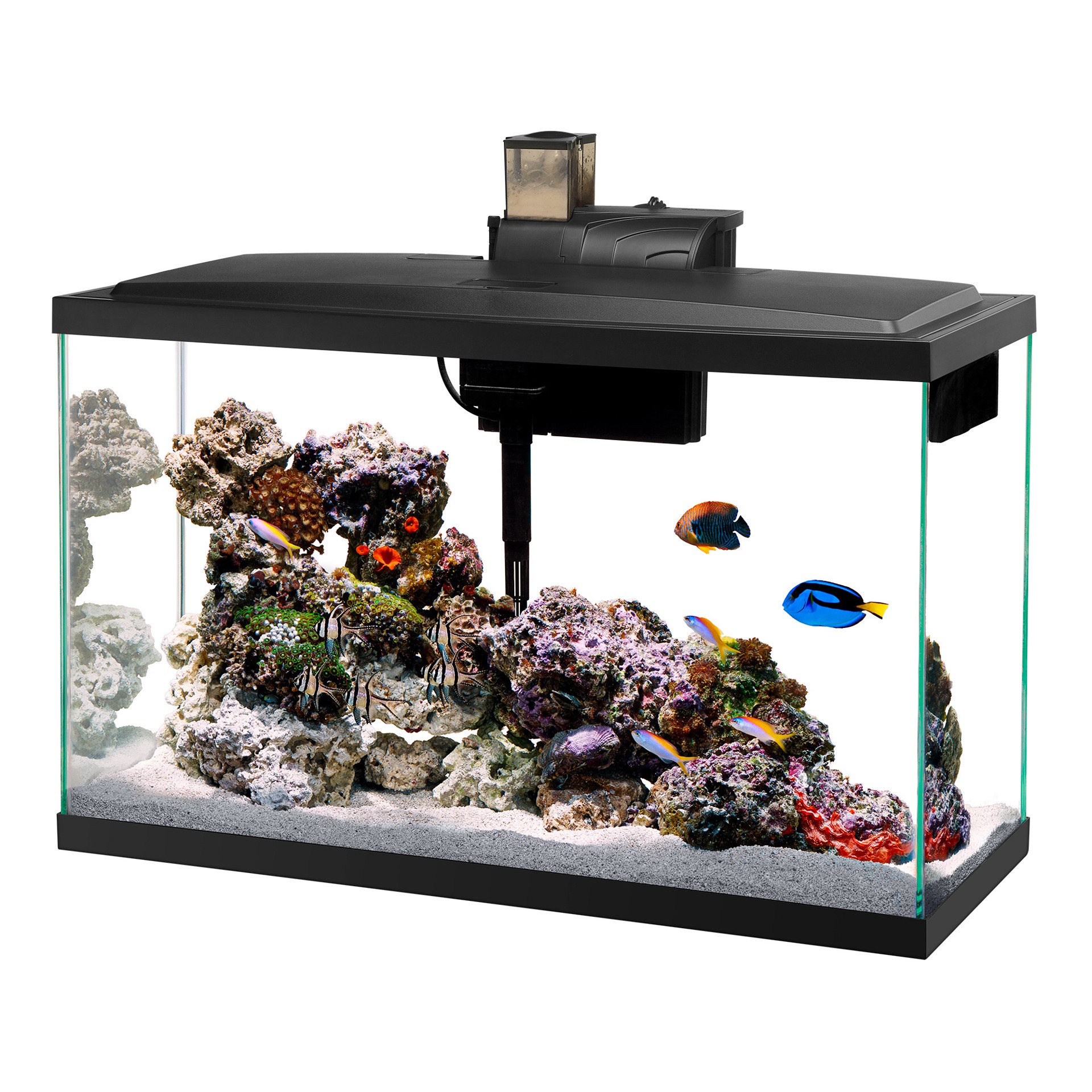 slide 4 of 7, Coralife Cartridge Large - 3 Pack, 1 ct