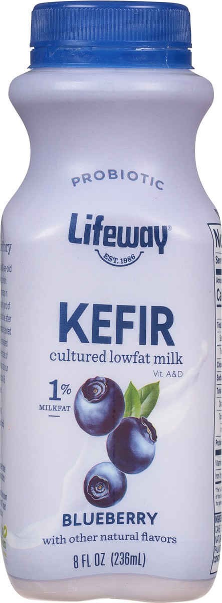 slide 6 of 9, Lifeway Blueberry Kefir 8 fl oz, 8 fl oz