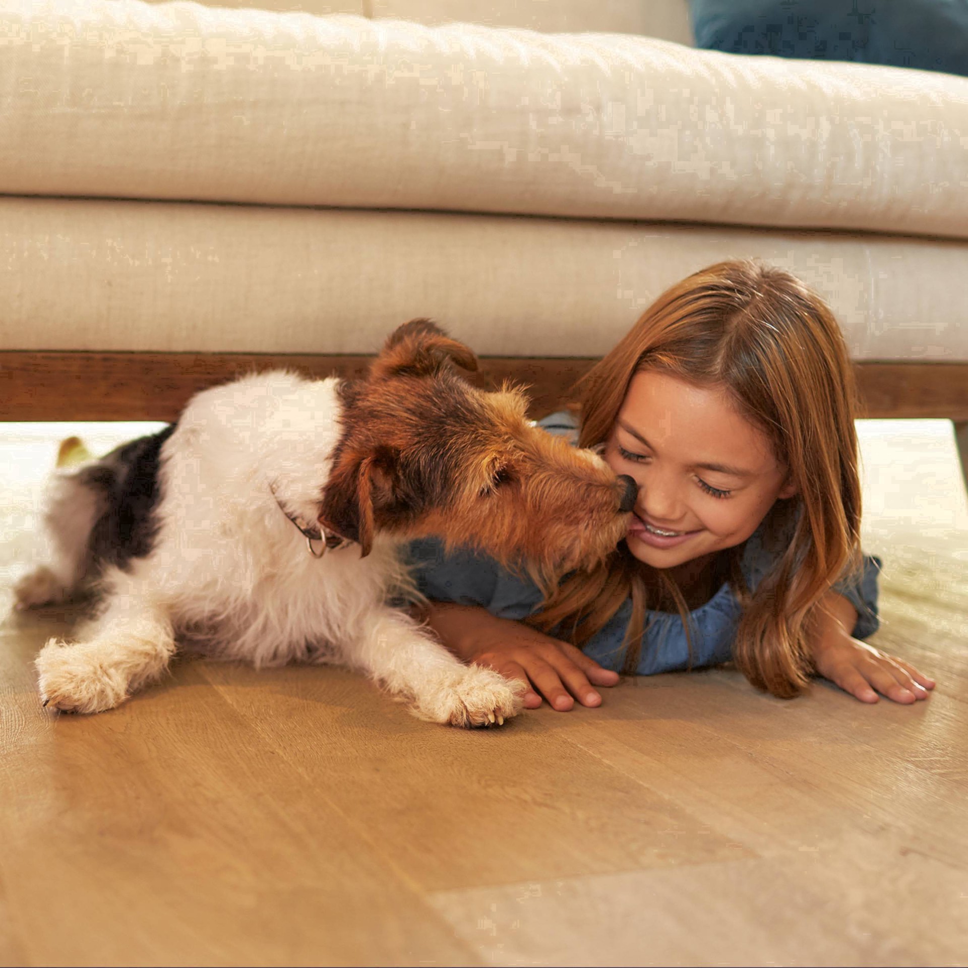 slide 162 of 184, Bona Hardwood Floor Spray Mop, 1 ct