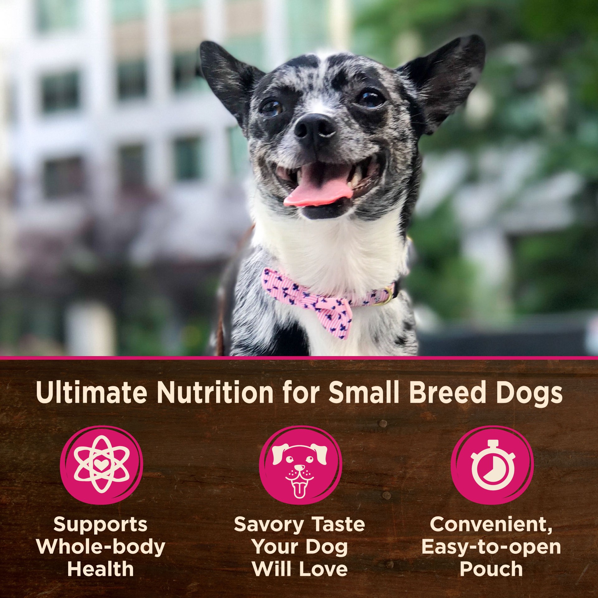 slide 5 of 5, Wellness CORE Mini Meals Small Bred Chunky All Life Stage Wet Dog Food - Variety Pack, 1 ct