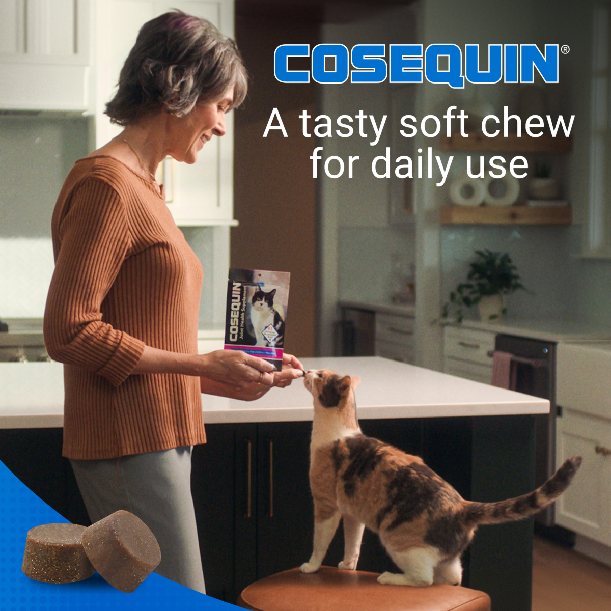 slide 4 of 5, Nutramax Pet Nutramax Cosequin Soft Chews Joint Supplement for Cats, 60 ct