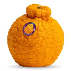 Sumo Citrus Mandarin Orange