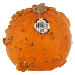 Baby Bumpy Pumpkins
