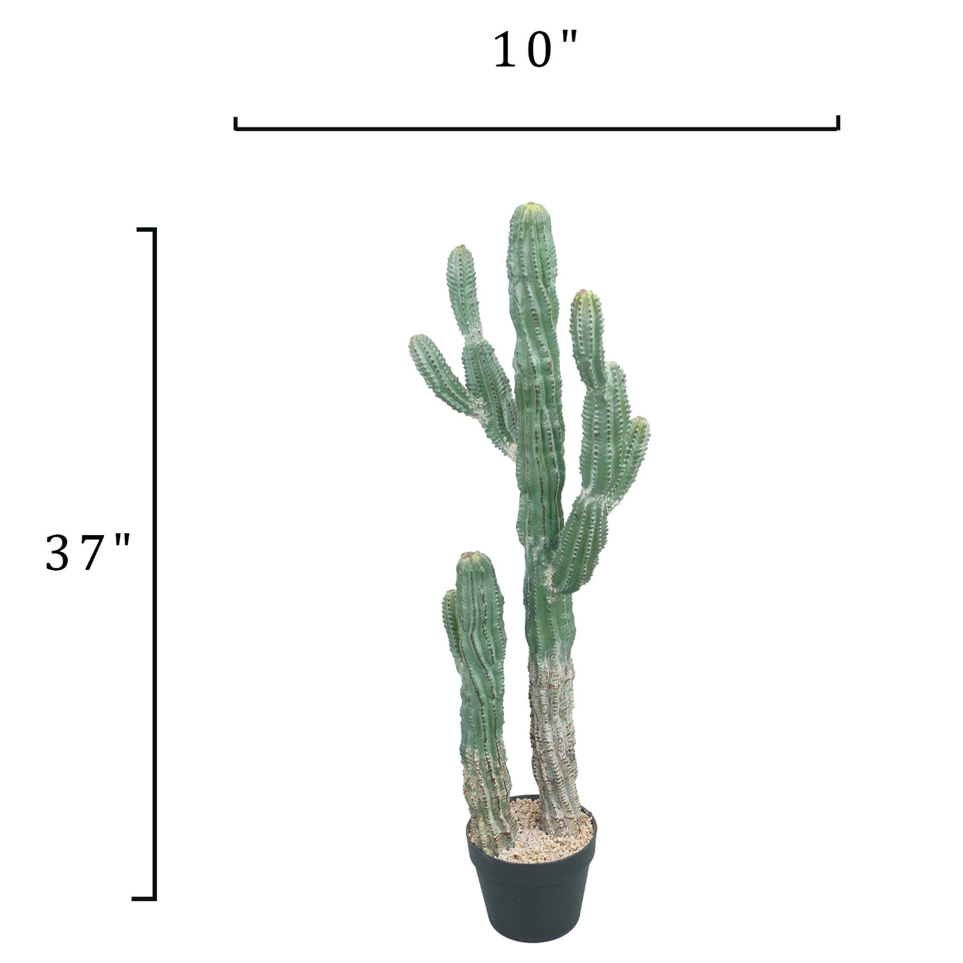 slide 4 of 4, 3ft. Potted Green Cactus Tree By Ashland, 3 ft