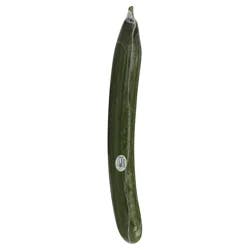 Hot House Seedless Cucumbers