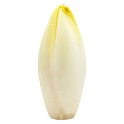 Belgian Endive Lettuce
