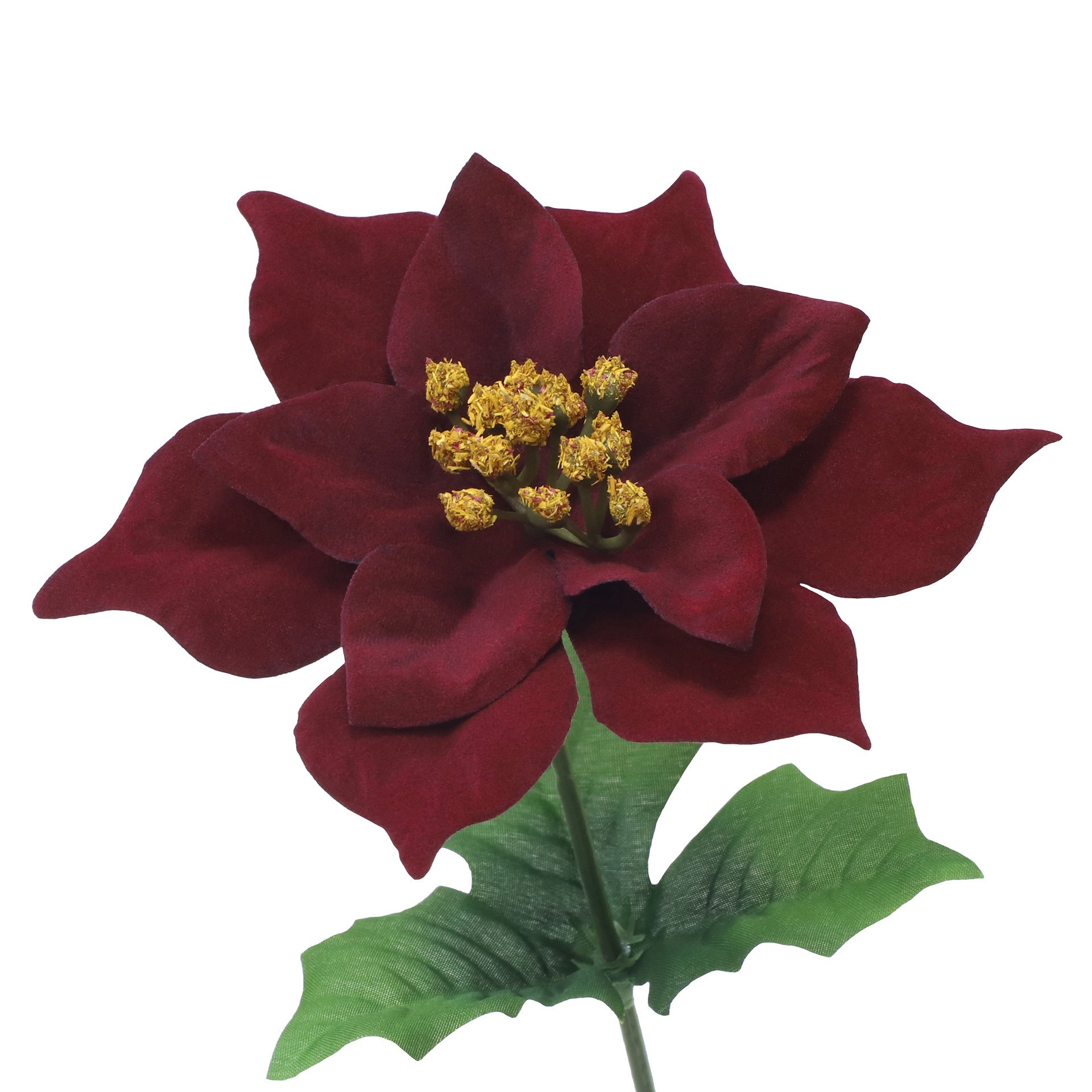 slide 2 of 3, 12" Poinsettia Bush By Ashland, 8 in x 8 in x 12 in