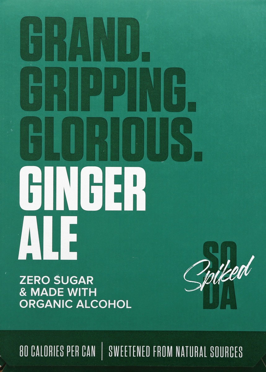 slide 4 of 6, Crook & Marker Crook & Marker Spiked Ginger Ale Soda, 4 ct; 12 fl oz