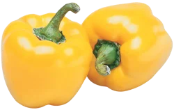 Yellow Bell Pepper