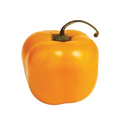 Orange Manzano Pepper