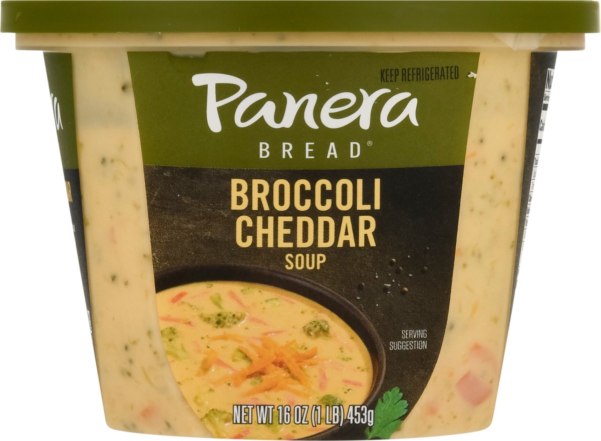 slide 7 of 9, Panera Bread Soups Broccoli Cheddar Soup - 16oz, 16 oz