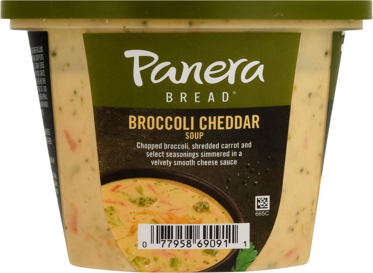 slide 2 of 9, Panera Bread Soups Broccoli Cheddar Soup - 16oz, 16 oz
