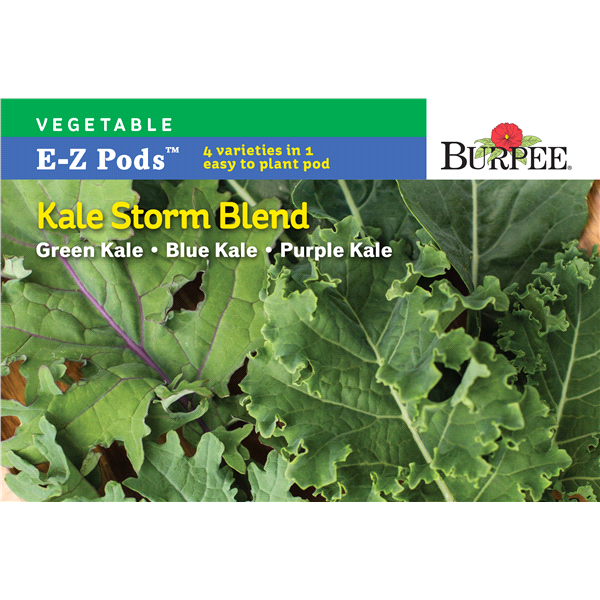 slide 1 of 1, Burpee Simplysalad Kale Storm Mix, 1 ct