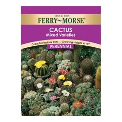 Ferry Morse Cactus