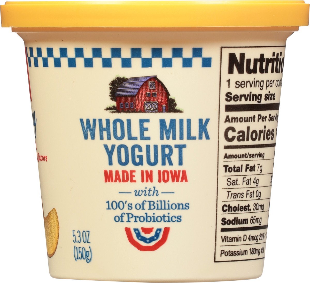 slide 8 of 9, AE Dairy Whole Milk Peach Yogurt 5.3 oz, 5.3 oz