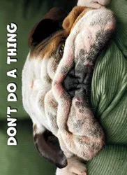 Avanti Get Well Card Dog Face On Pillow