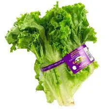 Organic Green Leaf Bag