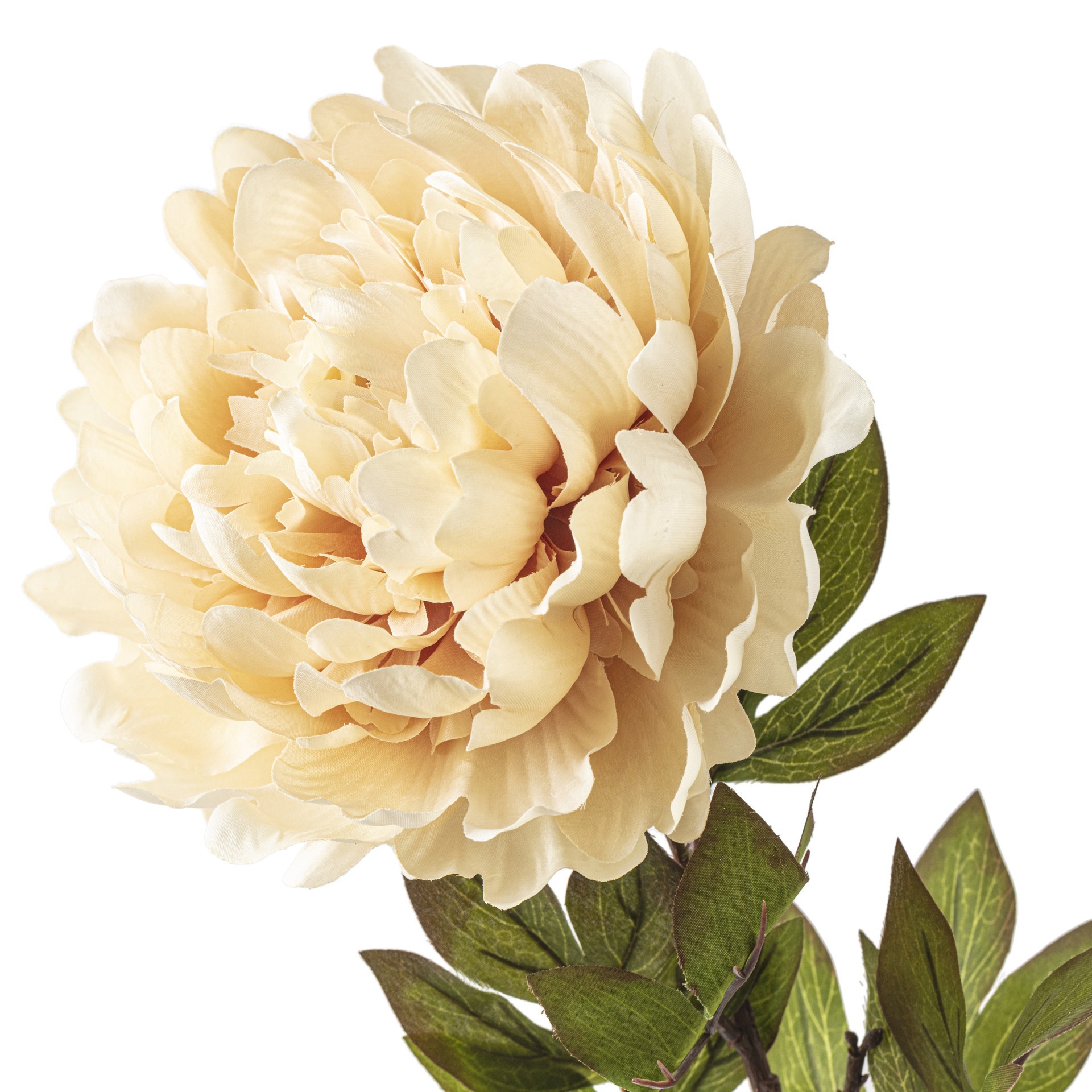 slide 2 of 3, Jumbo Cream Peony Stem By Ashland, 28.25 in