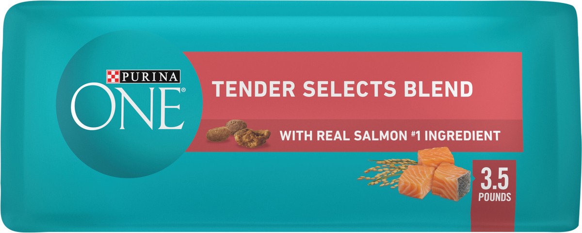 slide 9 of 9, ONE Purina ONE Natural Dry Cat Food, Tender Selects Blend With Real Salmon, 3.5 lb