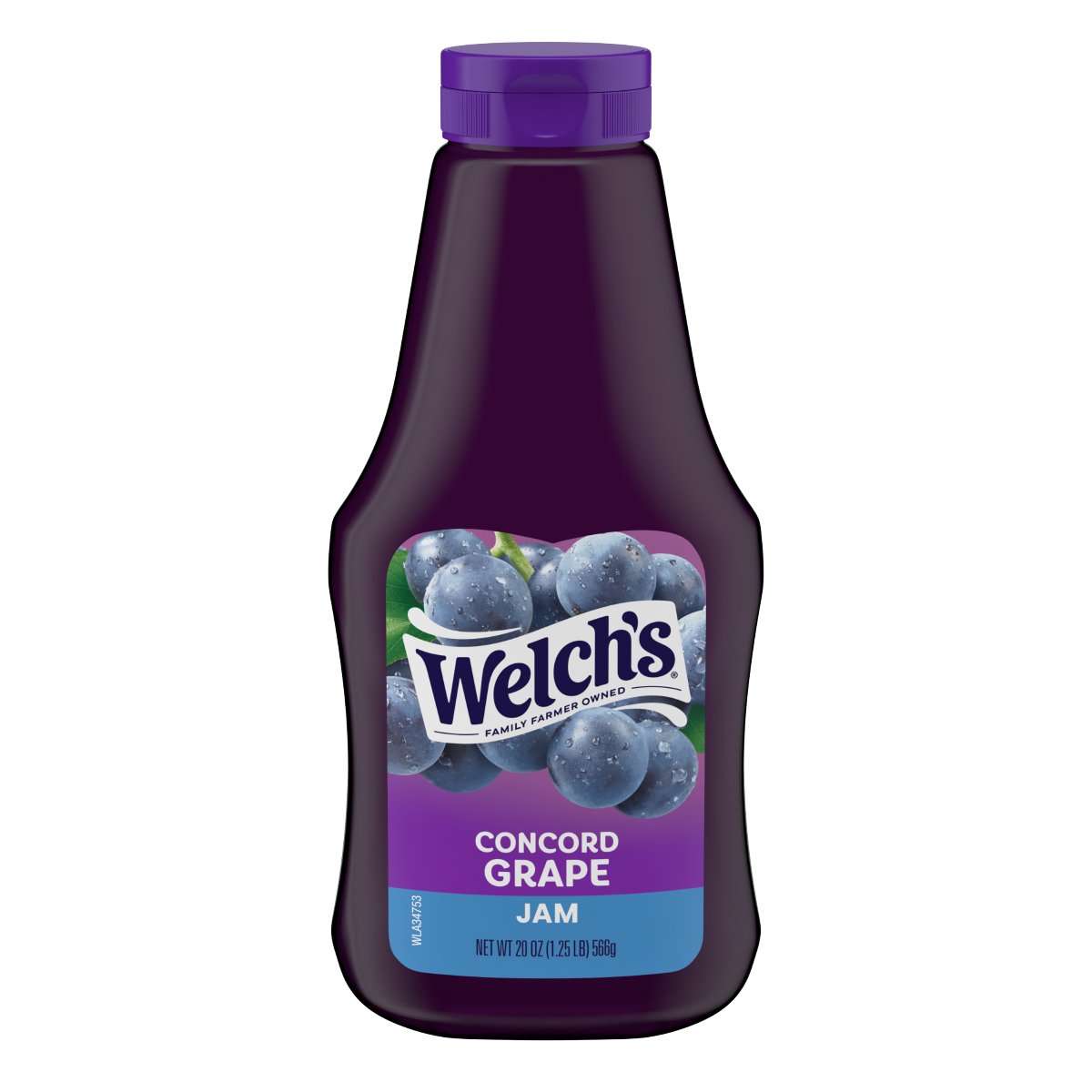 slide 1 of 13, Welch's Concord Grape Jam, 20 oz