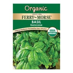 Ferry Morse Basil