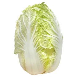 Napa Cabbage