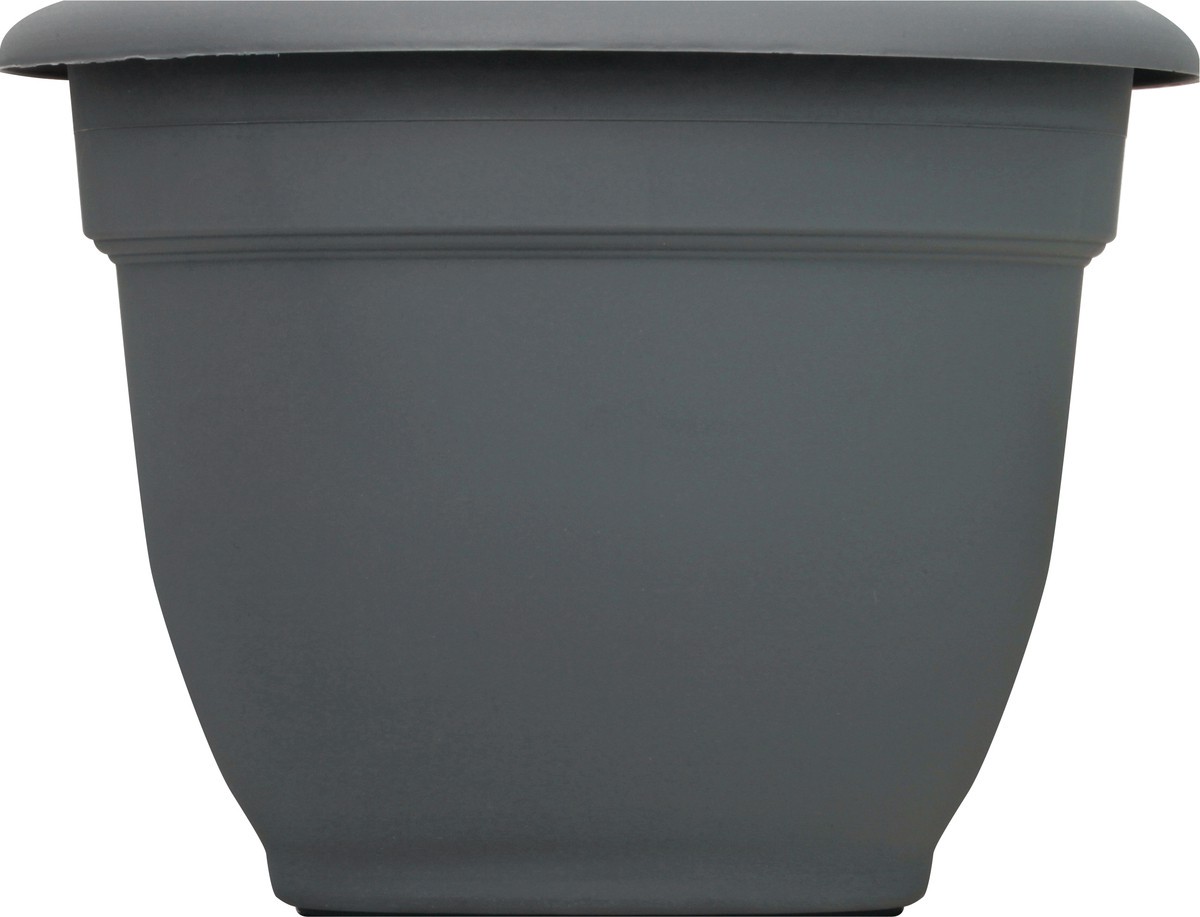 slide 8 of 9, Bloem Ariana Charcoal Planter 8In, 8 in