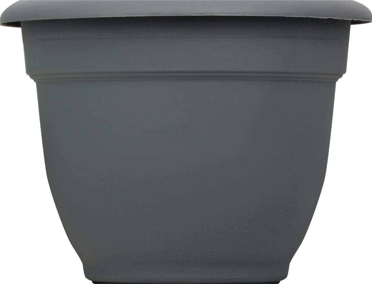 slide 3 of 9, Bloem Ariana Charcoal Planter 8In, 8 in