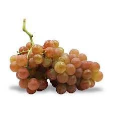 Baby Thompson Grapes