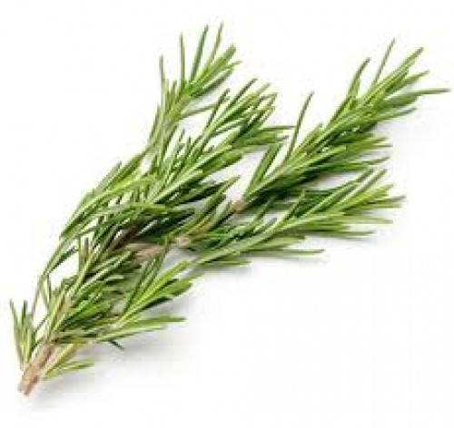 slide 1 of 1, Scissor Tail Rosemary Clamshell, 0.7 oz