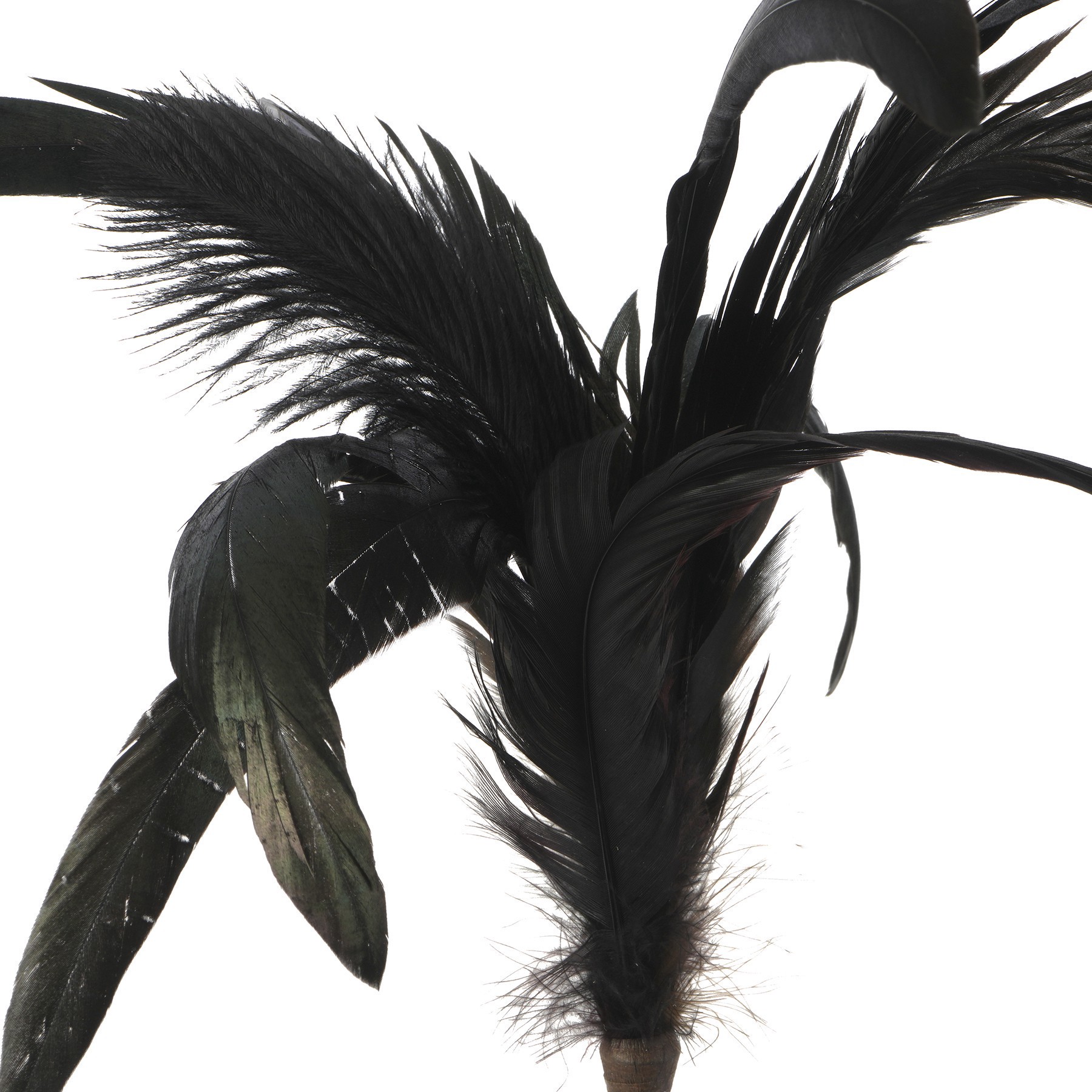 slide 2 of 2, Halloween Feather Pick By Ashland, 10.5 in-12.5 in