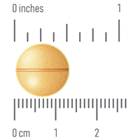 slide 3 of 29, Meijer Children’s Ibuprofen Tablets, Pain Reliever and Fever Reducer, 100 mg, 24 ct