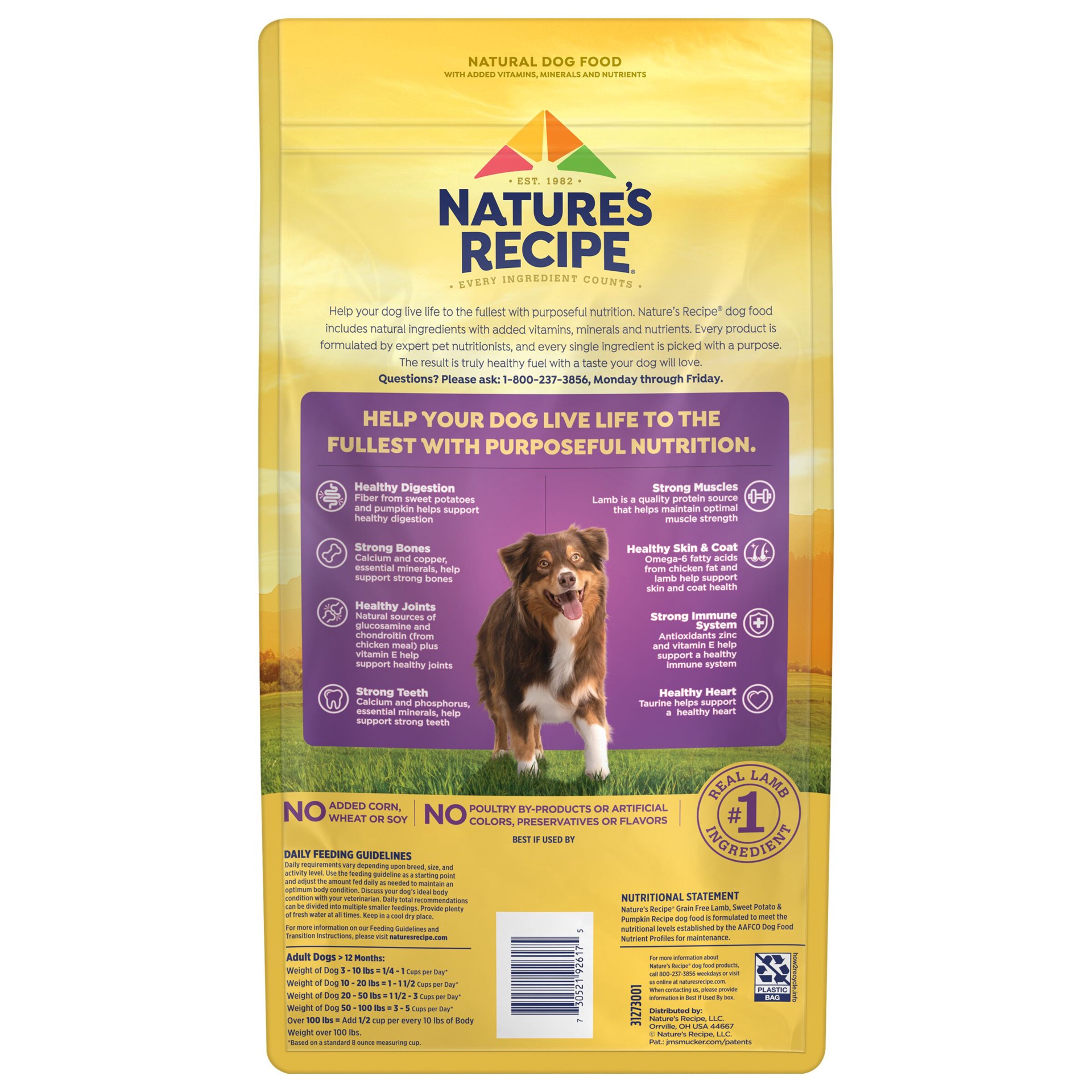 slide 5 of 9, Nature's Recipe Nature′s Recipe Grain Free Lamb, Sweet Potato & Pumpkin Recipe Dry Dog Food, 4 lb. Bag, 4 lb