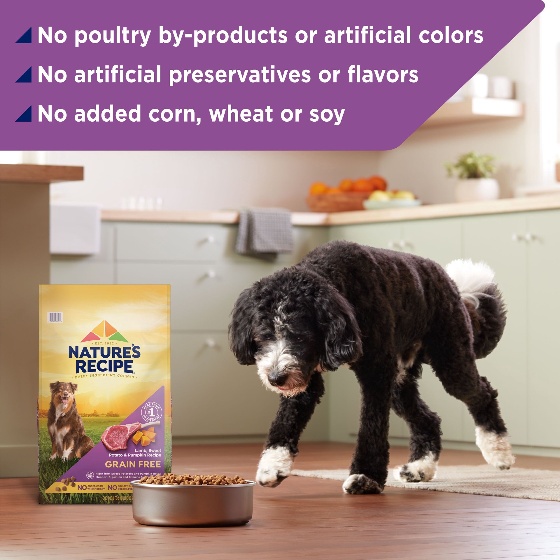 slide 3 of 9, Nature's Recipe Nature′s Recipe Grain Free Lamb, Sweet Potato & Pumpkin Recipe Dry Dog Food, 4 lb. Bag, 4 lb