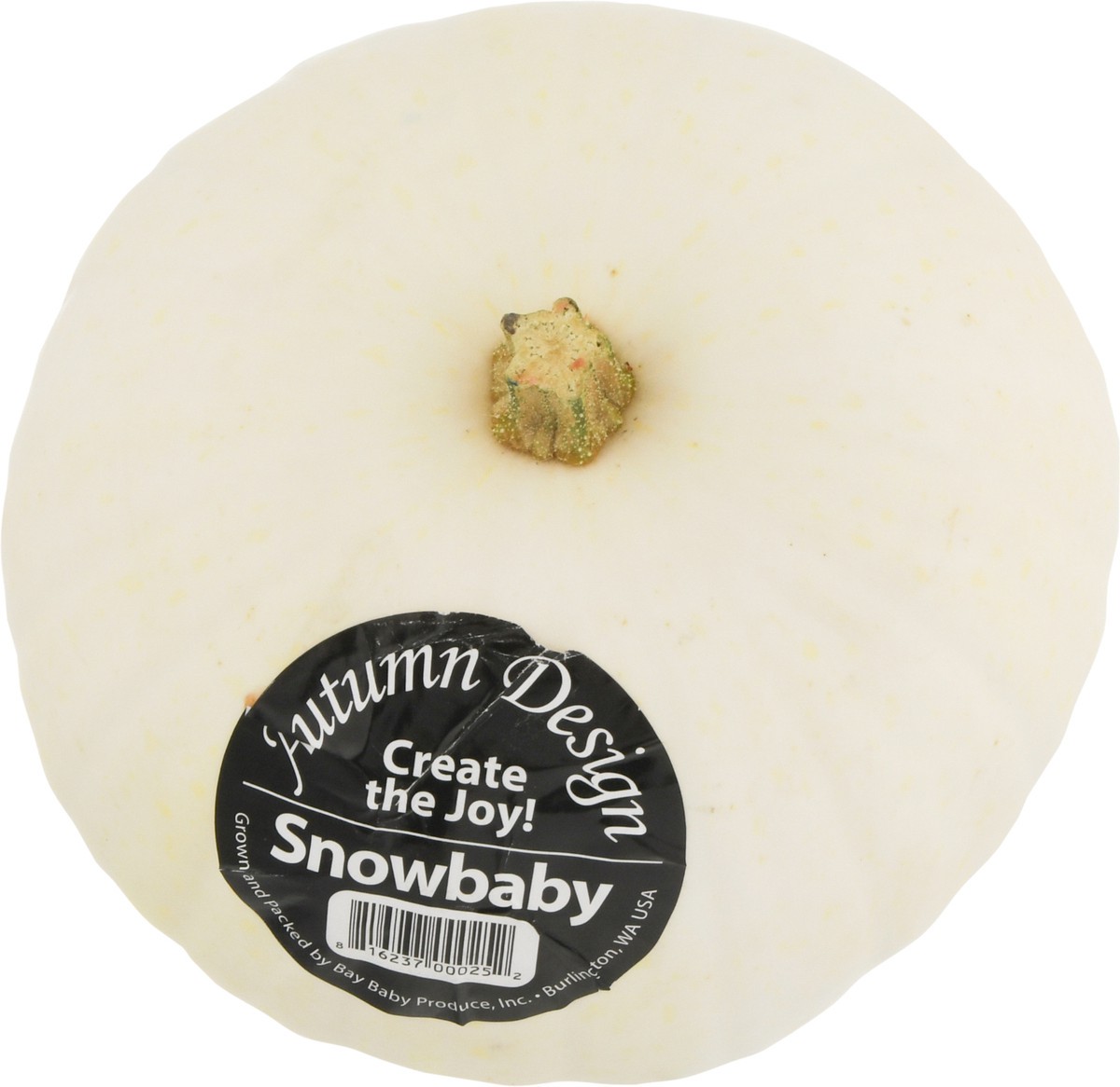 slide 11 of 11, Bay Baby Produce Snowbaby Pumpkin 1 ea, 1 ct