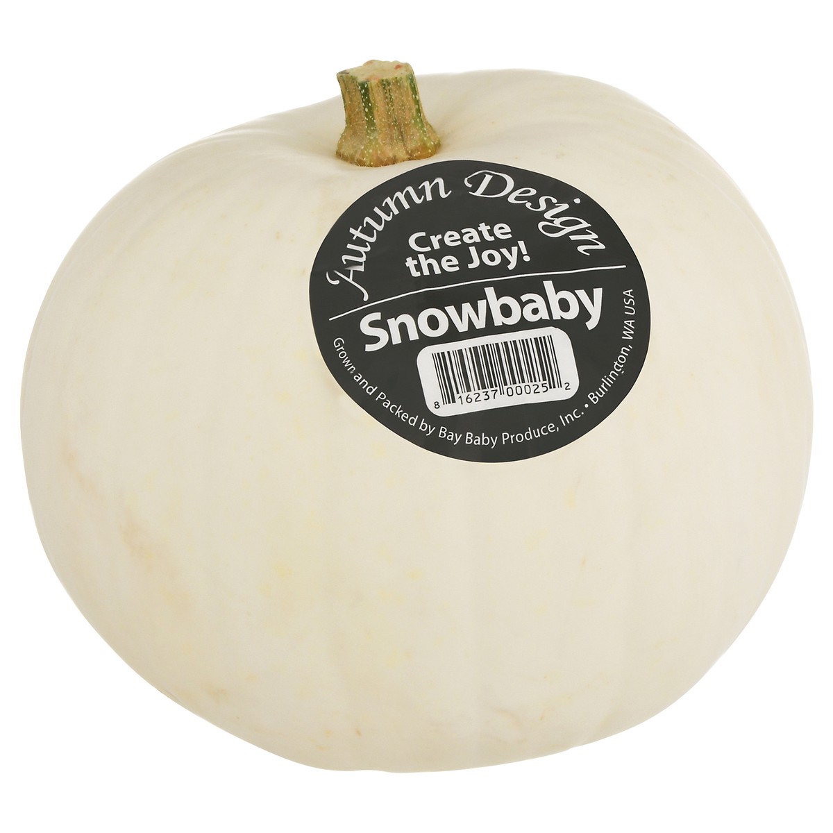 slide 10 of 11, Bay Baby Produce Snowbaby Pumpkin 1 ea, 1 ct