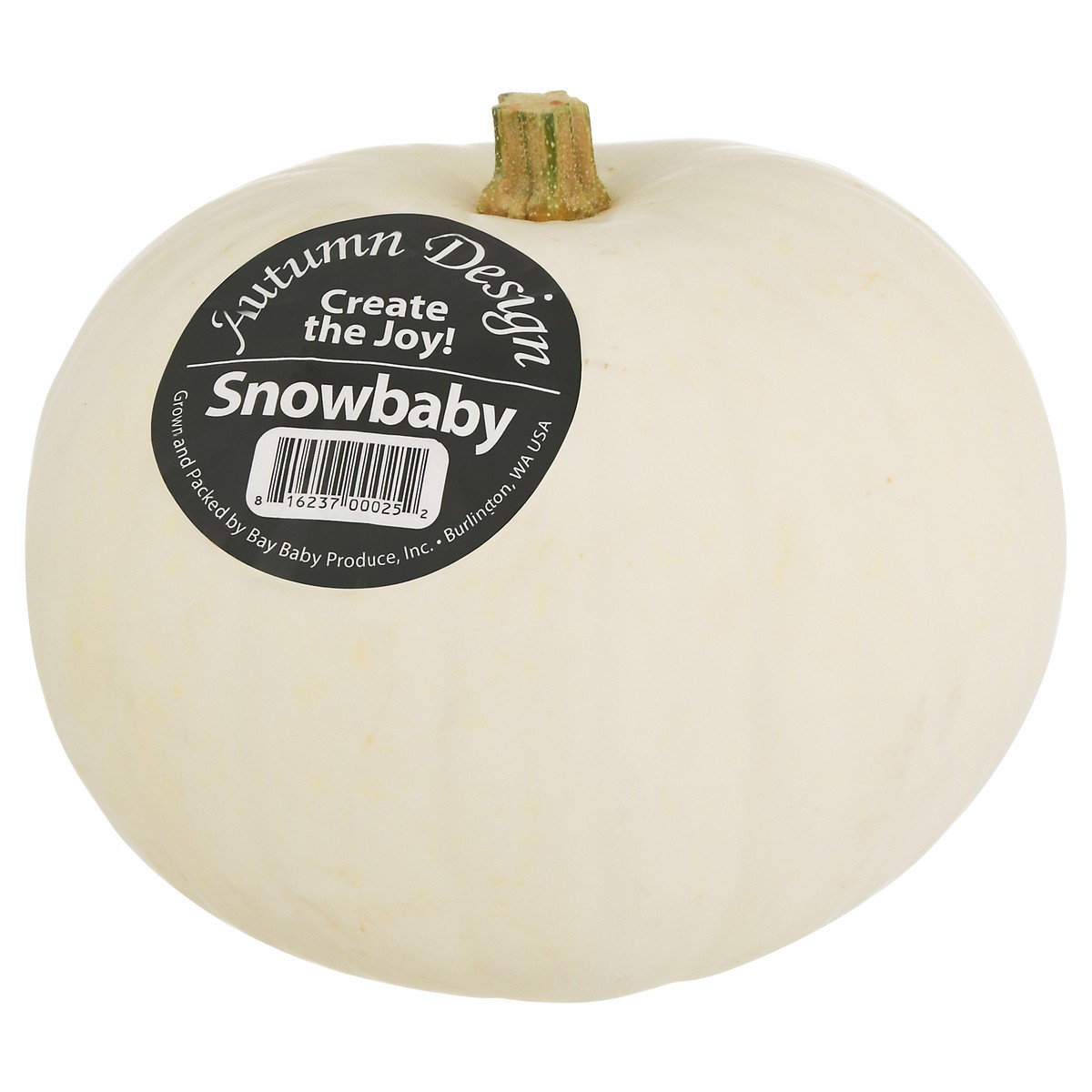slide 6 of 11, Bay Baby Produce Snowbaby Pumpkin 1 ea, 1 ct